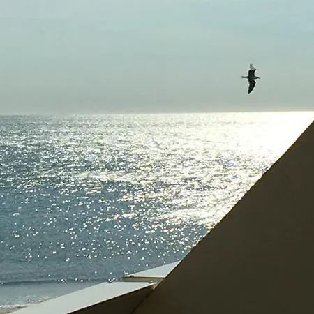 公寓 Elixxir 阿格德