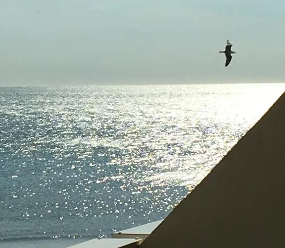 شقة Elixxir آجد